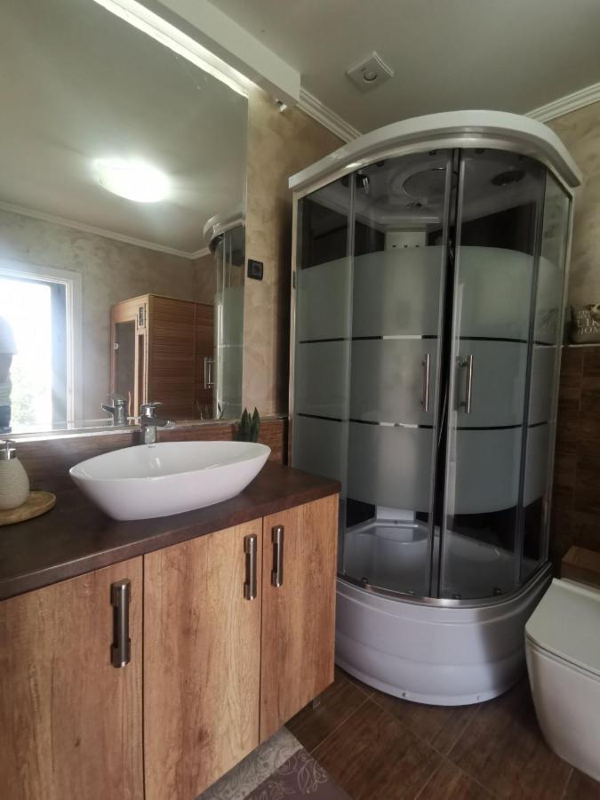 Lux Vila Aleksandar Sremska Kamenica Екстериор снимка